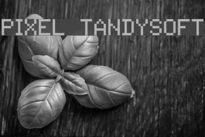 Pixel Tandysoft Schriftart examples