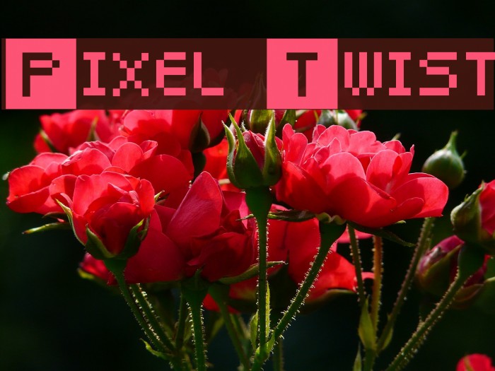 Pixel Twist Font examples