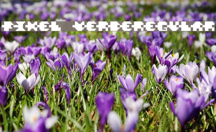 Pixel VerdeRegular Font examples