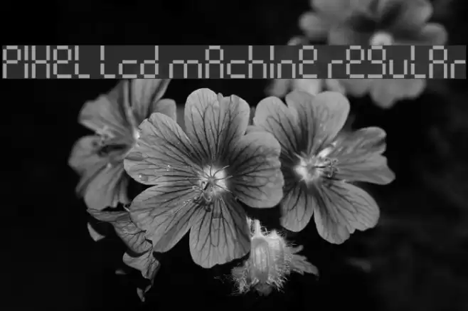 Pixel lcd machine Regular Font examples