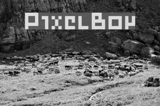 PixelBoy Font examples