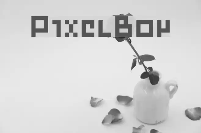 PixelBoy Font examples