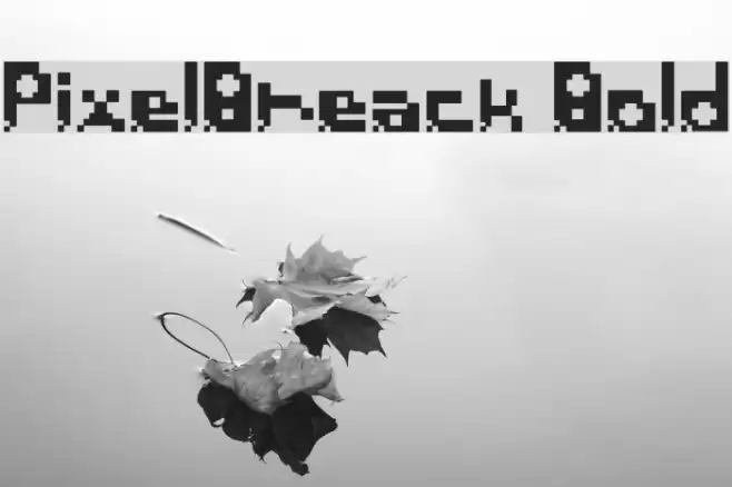 PixelBreack Bold Font examples