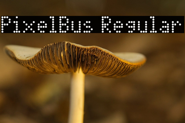 PixelBus Regular Example 1