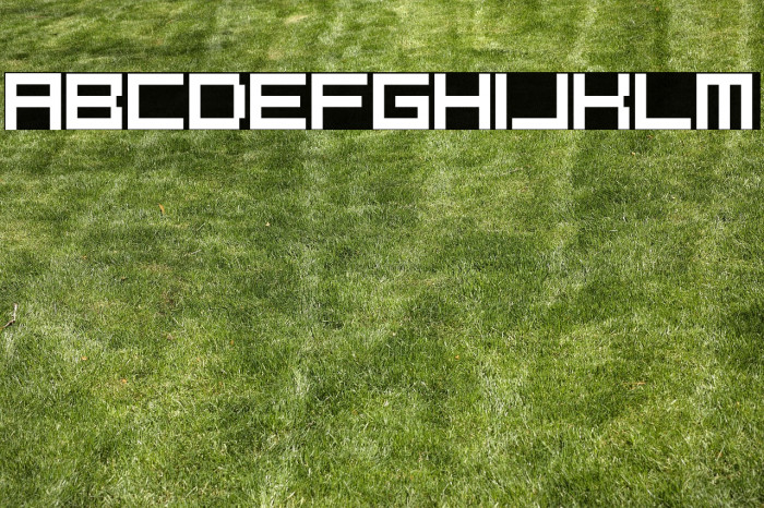 PixelCaps! Example 1