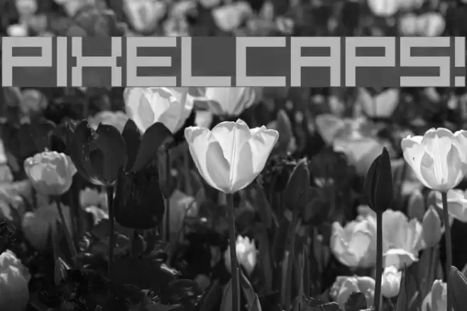 PixelCaps! Font examples