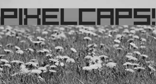 PixelCaps! Font examples