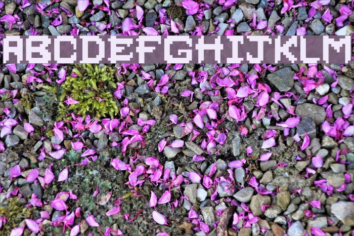 PixelFaceOnFire Font examples
