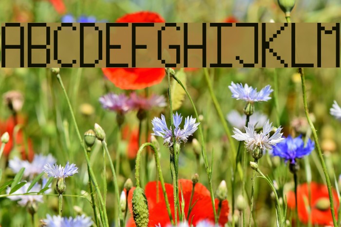PixelLetters Font examples