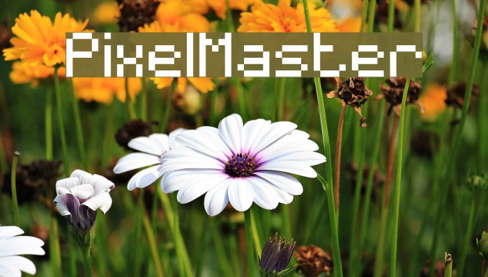 PixelMaster Example 3