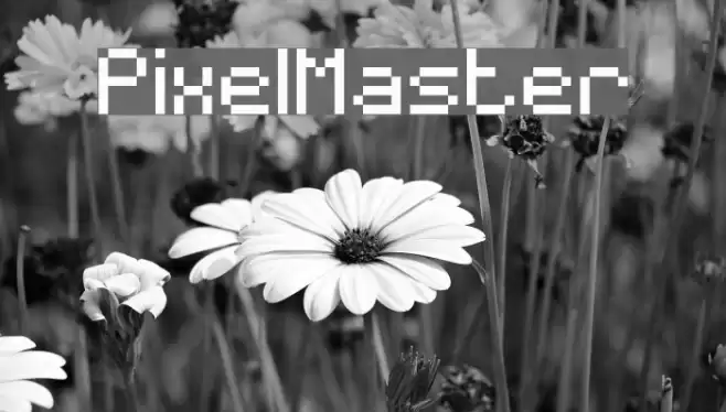 PixelMaster Font examples