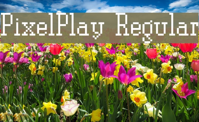 PixelPlay Regular Font examples