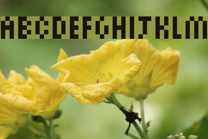 PixelSix14 Font examples