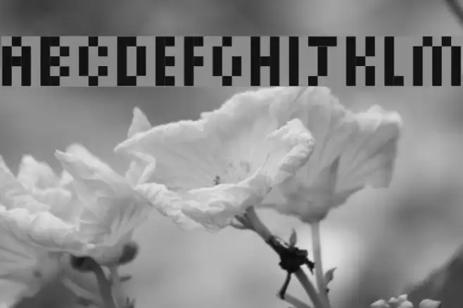 PixelSix14 Font examples