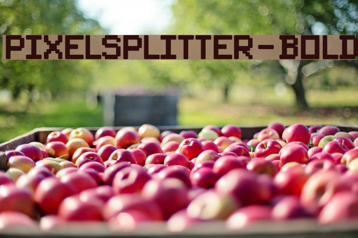 PixelSplitter-Bold Font examples
