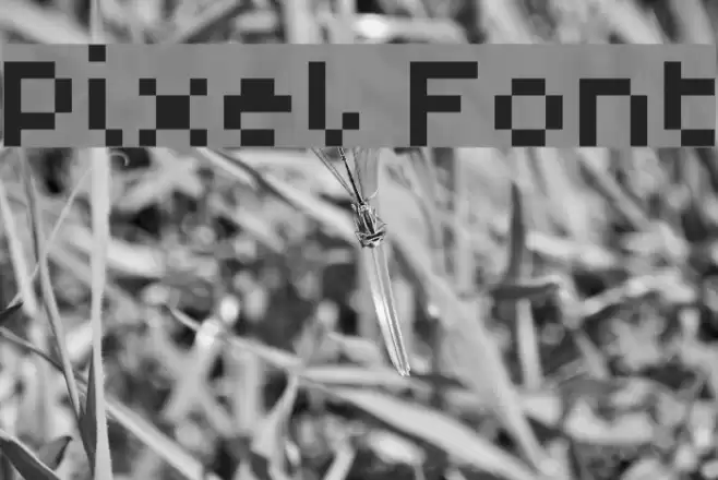 Pixel Font examples