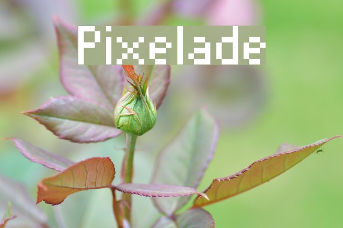 Pixelade Font examples