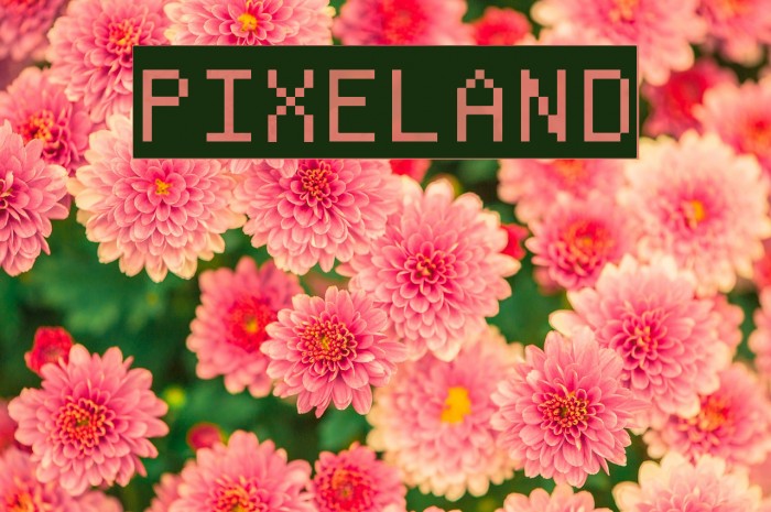 Pixeland Font examples