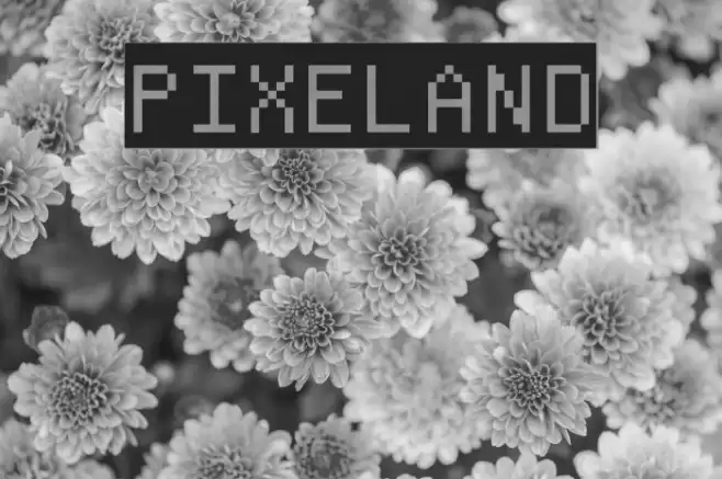 Pixeland Polices examples