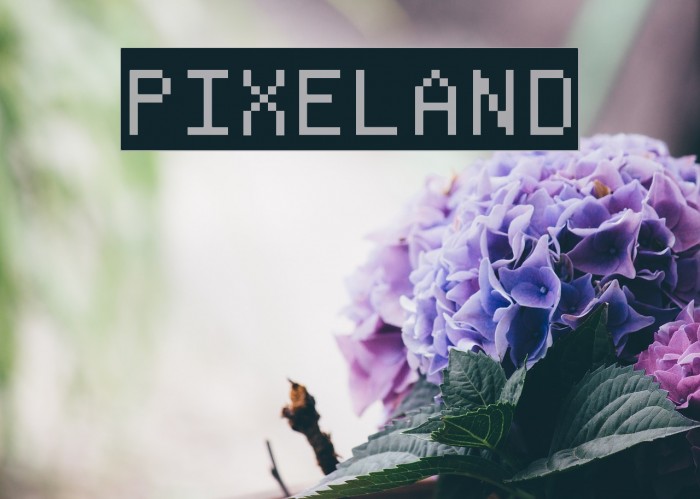 Pixeland Font examples