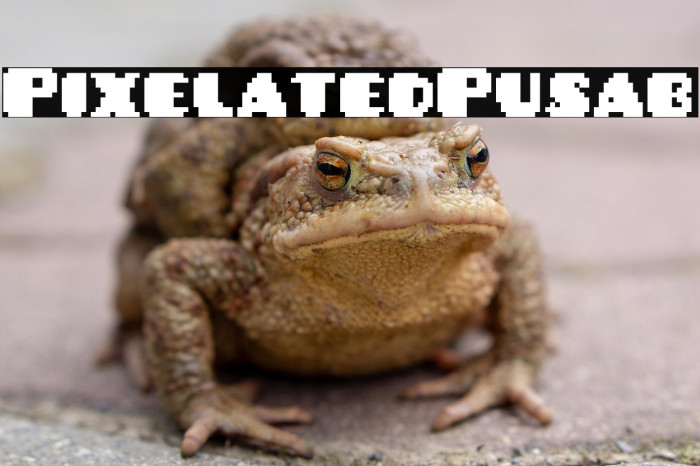 PixelatedPusab Example 2