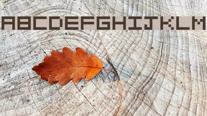 Pixelated Font examples