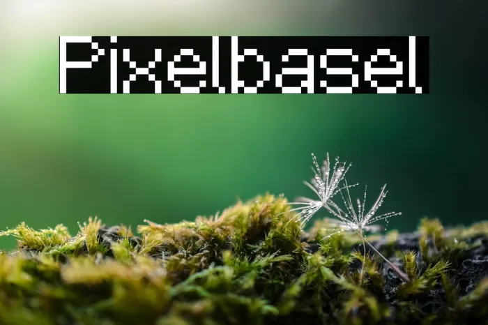 Pixelbasel Example 1