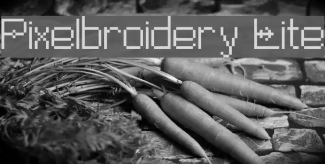 Pixelbroidery Lite Font examples