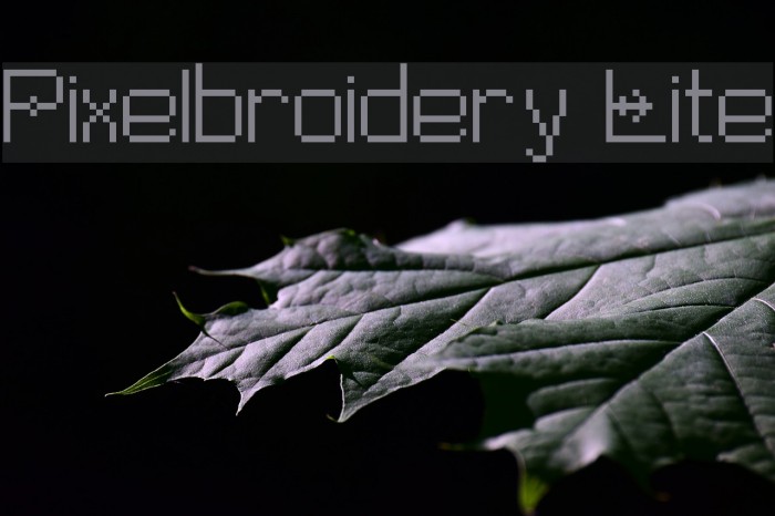 Pixelbroidery Lite Polices examples