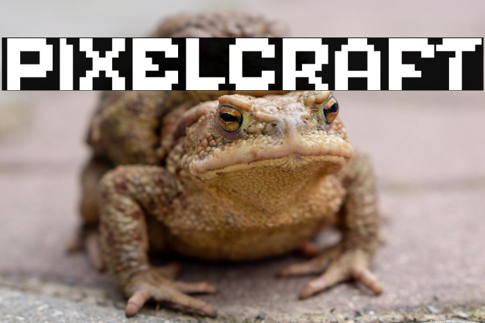 Pixelcraft Example 3