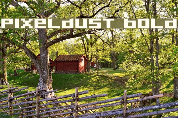 Pixeldust Bold Font examples