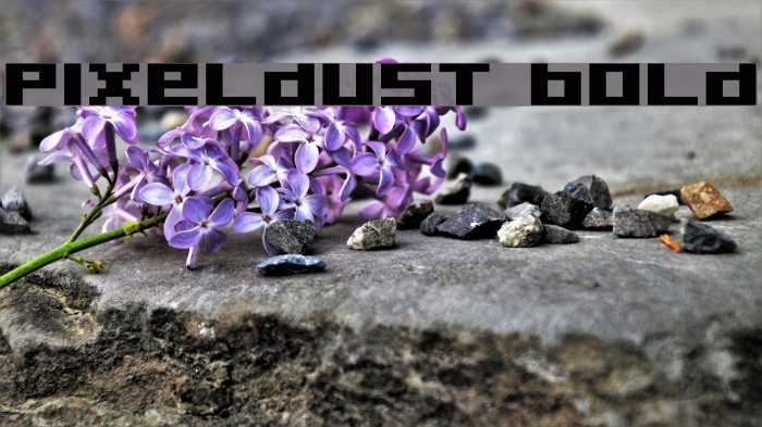Pixeldust Bold Font examples