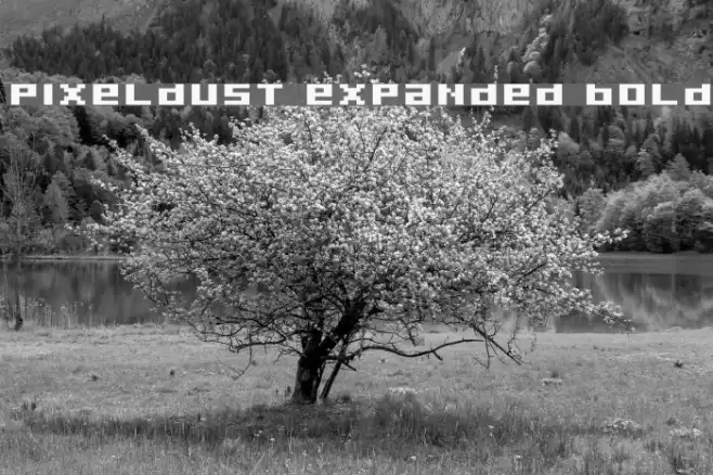 Pixeldust Expanded Bold Font examples