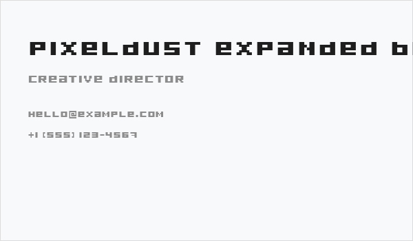 Pixeldust Expanded Bold Business Card
