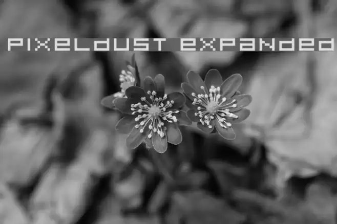 Pixeldust Expanded Fonte examples