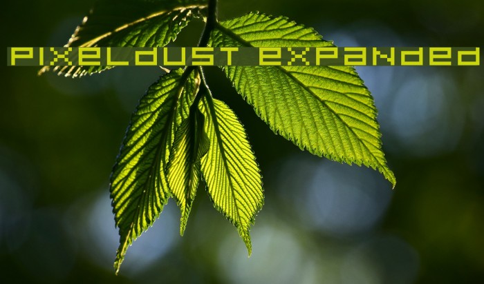Pixeldust Expanded Font examples