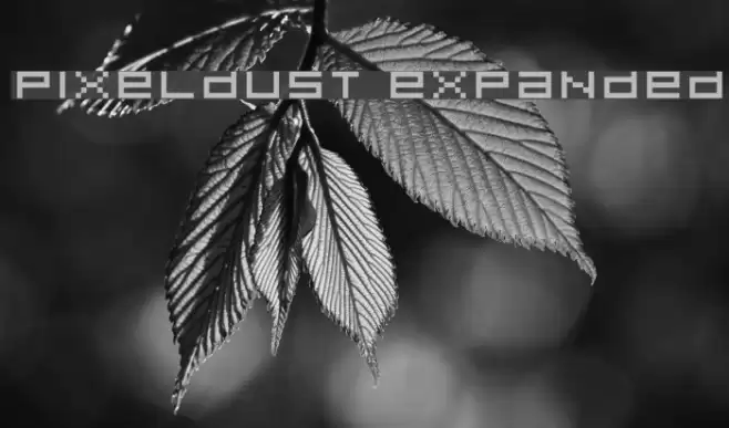 Pixeldust Expanded Fonte examples