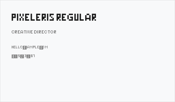 Pixeleris Regular Business Card