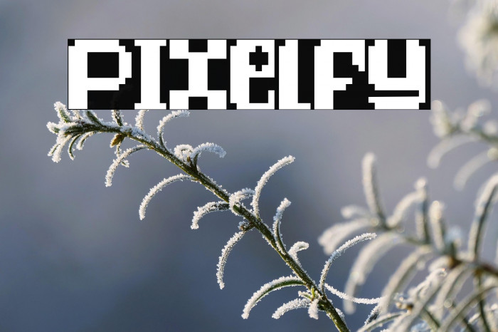 Pixelfy Example 3