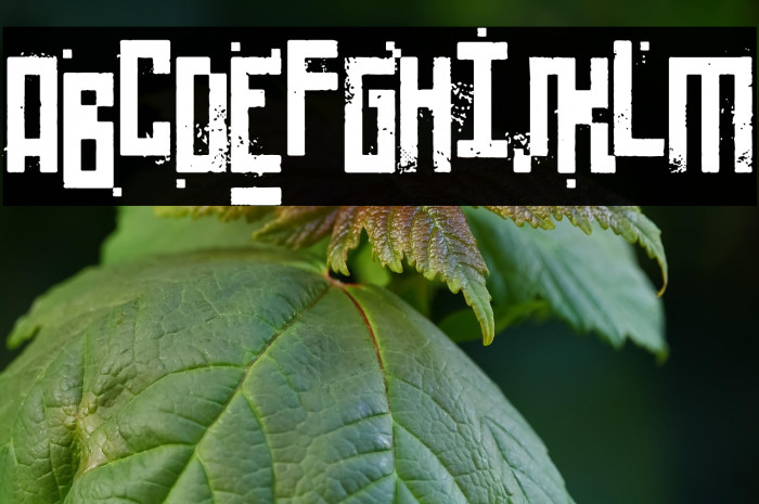 Pixelic War Example 1