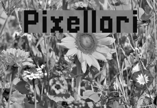 Pixellari Font examples