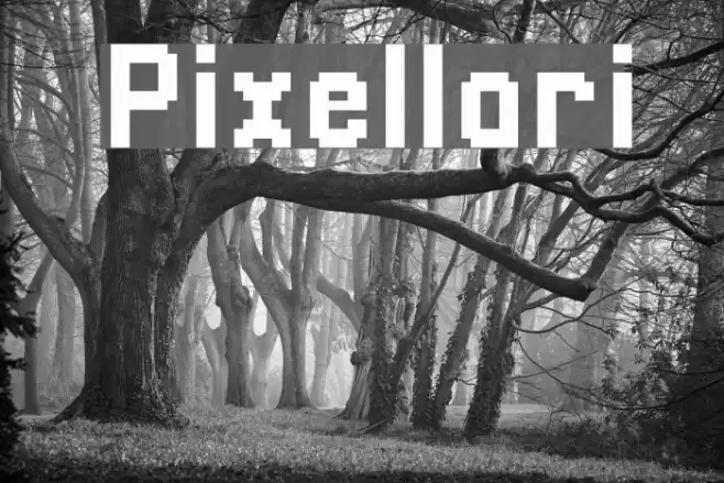 Pixellari Font examples