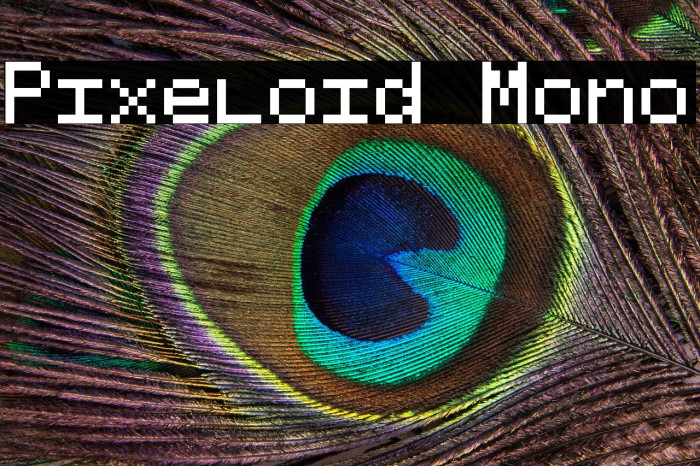 Pixeloid Mono Example 3