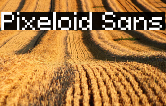 Pixeloid Sans Example 1