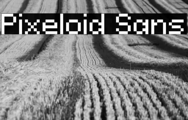 Pixeloid Sans Font examples