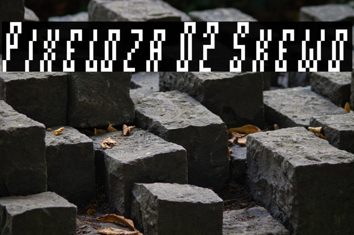 Pixeloza 02 Skewo Example 3