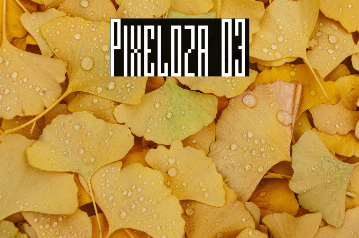 Pixeloza 03 Example 2