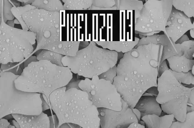 Pixeloza 03 Font examples