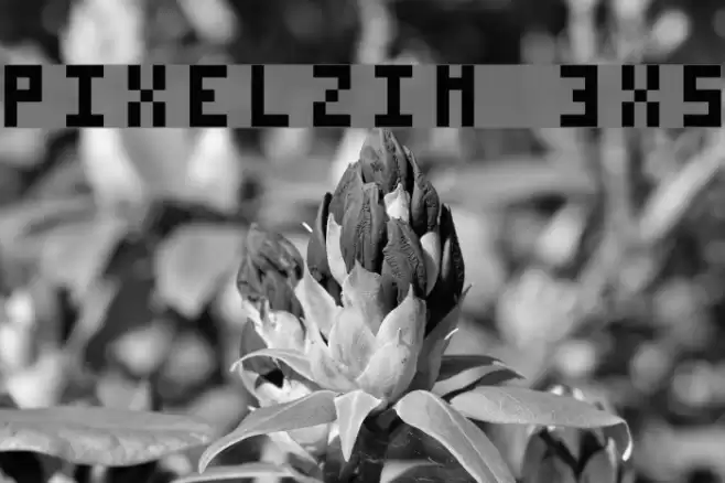 Pixelzim 3x5 Font examples