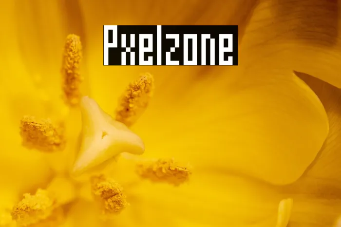 Pixelzone Example 2